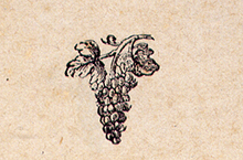 UVA
